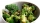 knackig blanchierter Broccoli mit Sesamsauce